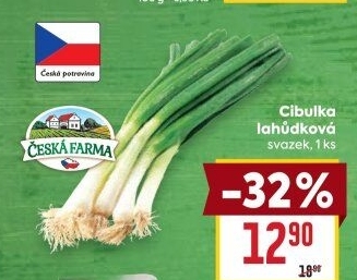 Jarní cibule svazek Česká farma