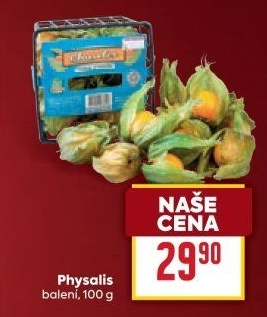 Physalis - Mochyně