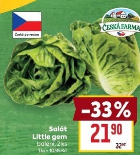 Salát little gem Česká farma