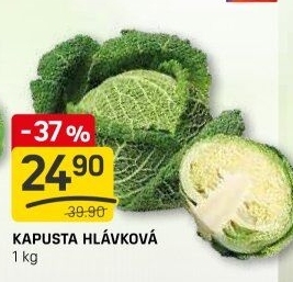 Kapusta hlávková
