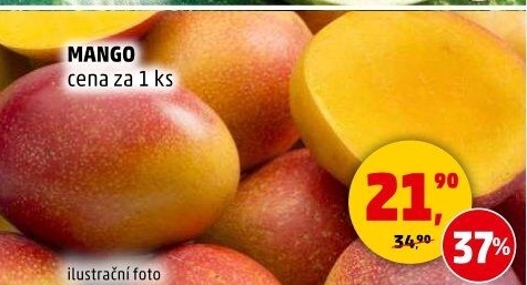 Mango