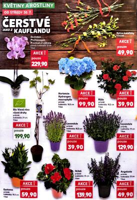 akční leták Kaufland 30.7.2025-5.8.2025