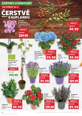 akční leták Kaufland 30.7.2025-5.8.2025