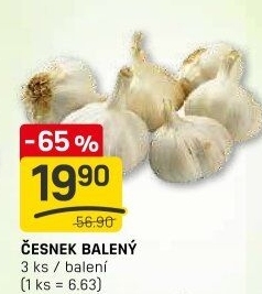 Česnek