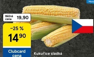 Kukuřice klas