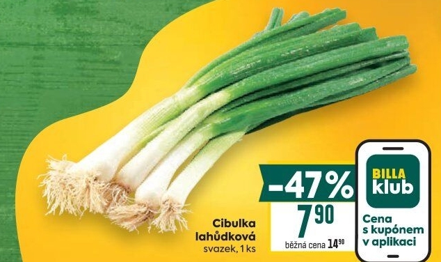 Jarní cibule svazek