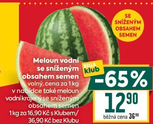 Meloun vodní