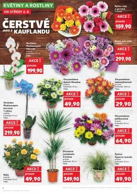 akční leták Kaufland 6.8.2025-12.8.2025