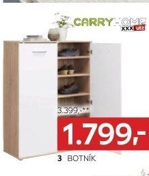 BOTNÍK