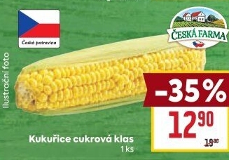 Kukuřice klas Česká farma