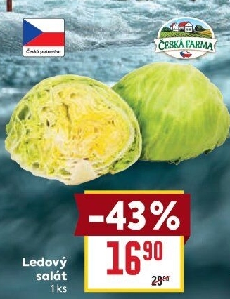 Salát ledový Česká farma
