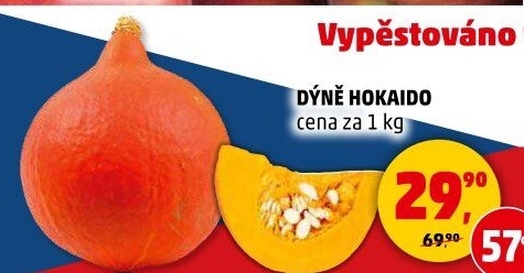 Dýně Hokkaidó