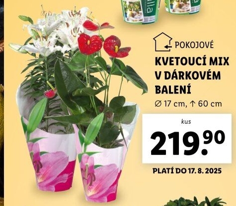 Mix kvetoucích rostlin