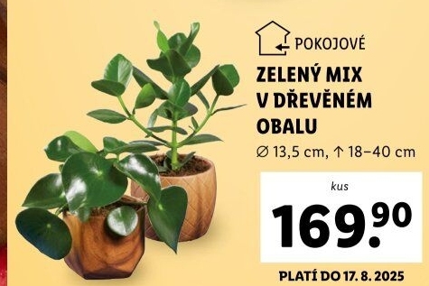 Mix zelených rostlin