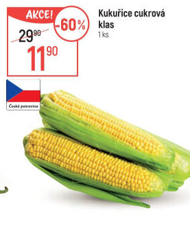 Kukuřice klas