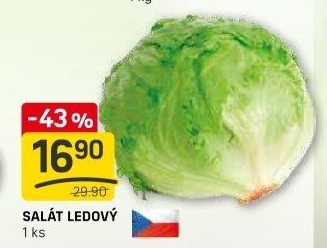 Salát ledový