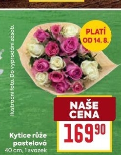 Řezané růže