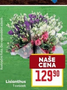 Řezaný Lisianthus
