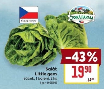 Salát little gem Česká farma