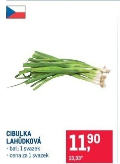 Jarní cibule svazek