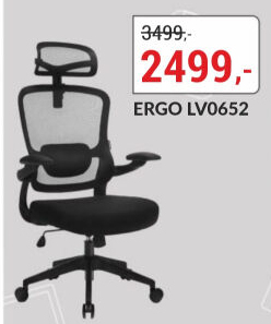 Kancelářská židle Ergo Basic