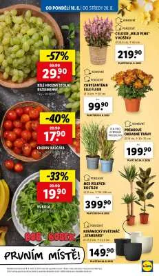 akční leták Lidl 18.8.2025-20.8.2025
