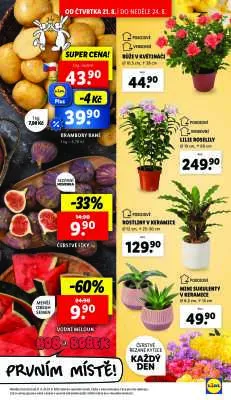 akční leták Lidl 21.8.2025-24.8.2025