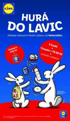 akční leták Lidl 21.8.2025-24.8.2025