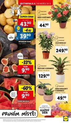 akční leták Lidl 21.8.2025-24.8.2025