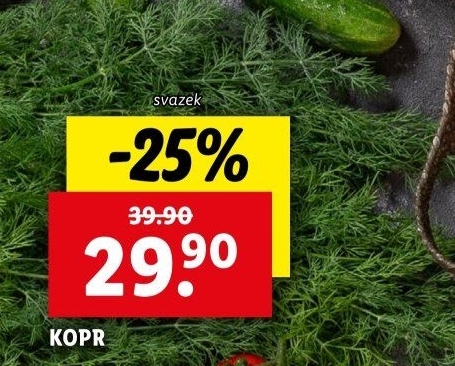Kopr čerstvý svazek
