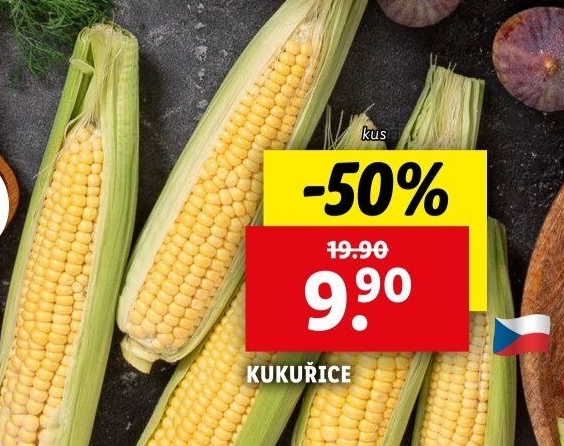 Kukuřice klas