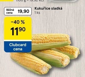 Kukuřice klas