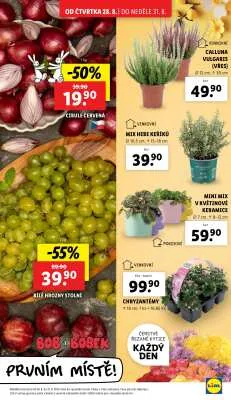 akční leták Lidl 28.8.2025-31.8.2025