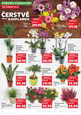 akční leták Kaufland 27.8.2025-2.9.2025