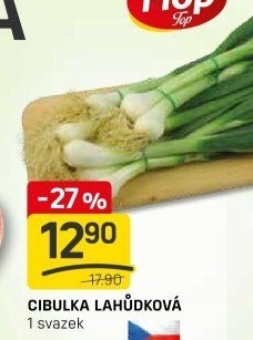 Jarní cibule svazek