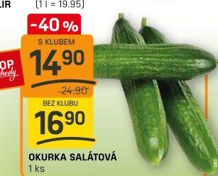 Okurka salátová - hadovka