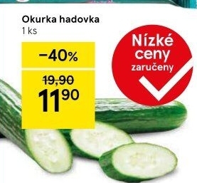 Okurka salátová - hadovka