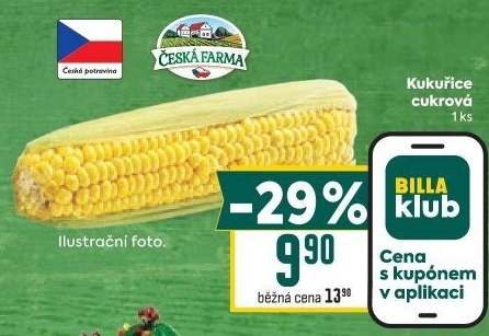 Kukuřice klas Česká farma