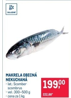 Makrela obecná