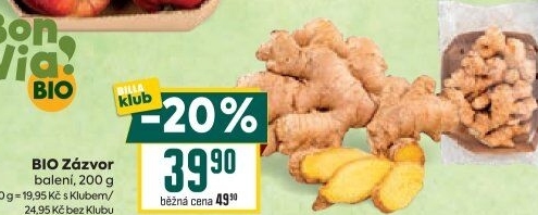 Zázvor čerstvý bio
