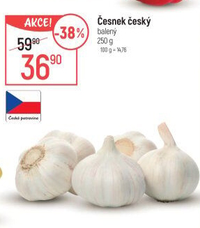 Česnek český
