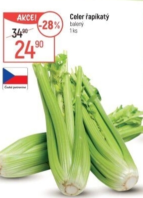 Celer řapíkatý