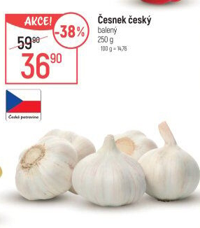 Česnek český