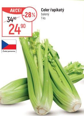 Celer řapíkatý