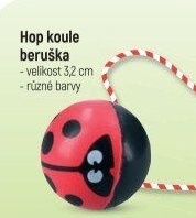 Hopík