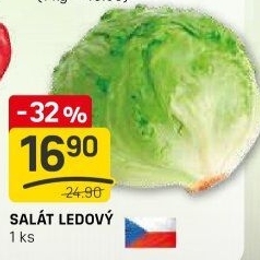 Salát ledový