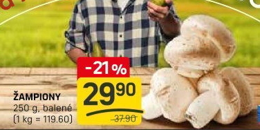 Žampiony