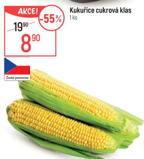 Kukuřice klas