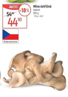 Hlíva ústřičná