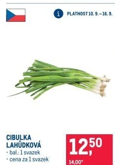 Jarní cibule svazek